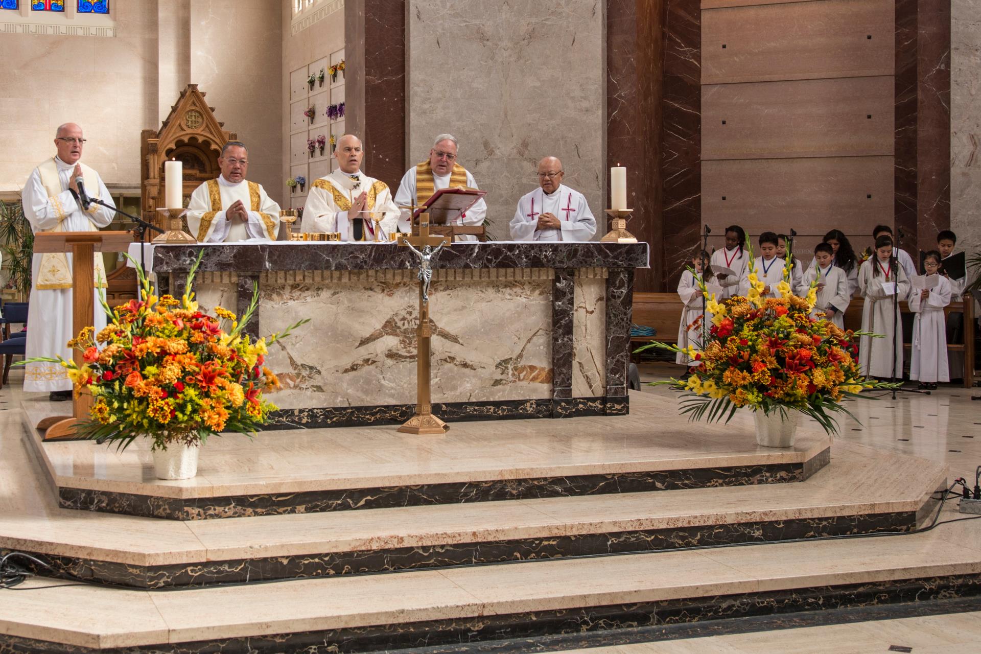 todos-2014